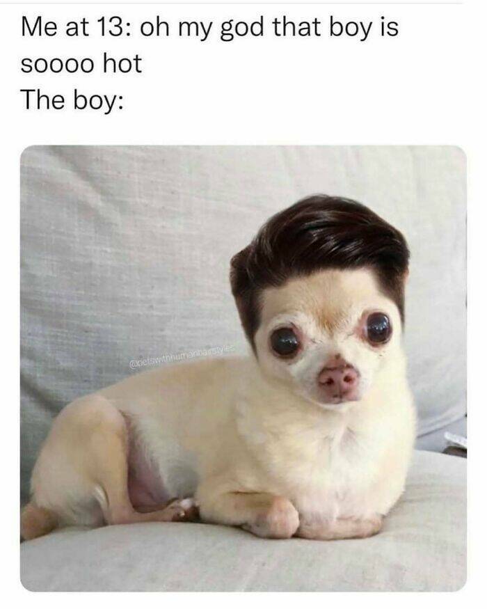 When Animals Unknowingly Created The Funniest Memes