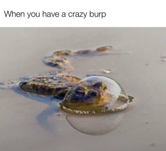 You Laugh, You Lose! Wanna Play?