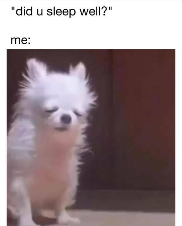 You Laugh, You Lose! Wanna Play?