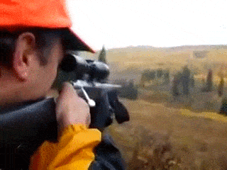 Daily Gifdump Daily Gifdump