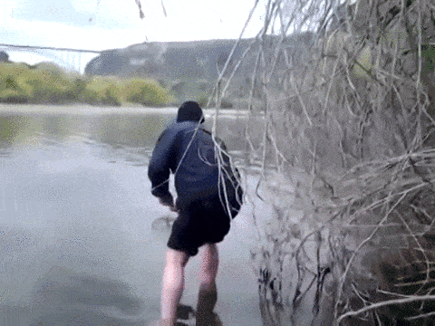 Daily Gifdump Daily Gifdump