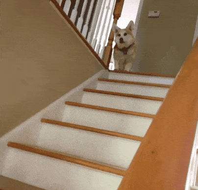 Daily Gifdump Daily Gifdump