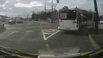 Daily Gifdump Daily Gifdump