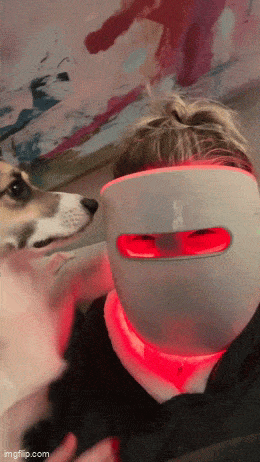 Daily Gifdump Daily Gifdump