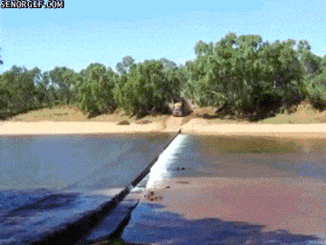 Daily Gifdump Daily Gifdump