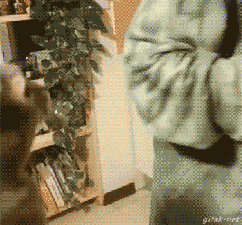 Daily Gifdump Daily Gifdump