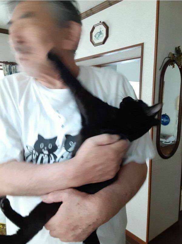 Funny Cat Photos Will Never End!