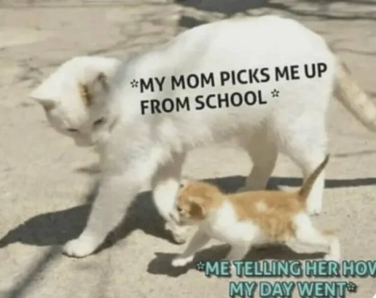 Unstoppable Waves Of Positivity