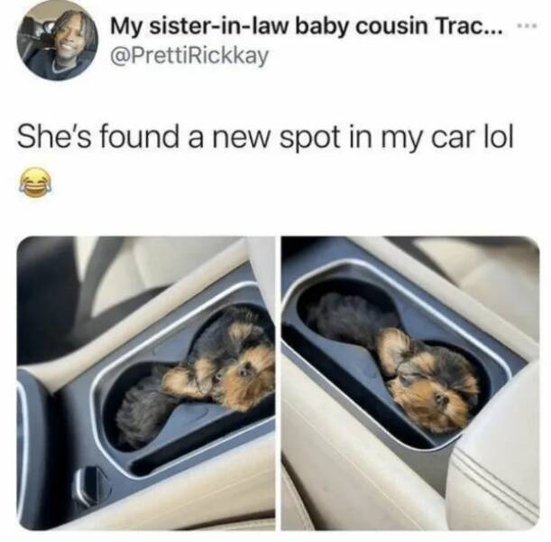 Unstoppable Waves Of Positivity