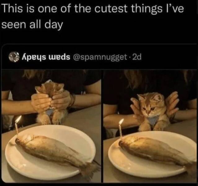 Unstoppable Waves Of Positivity