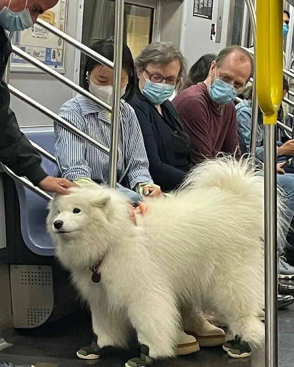 Unstoppable Waves Of Positivity