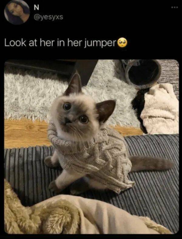 Unstoppable Waves Of Positivity