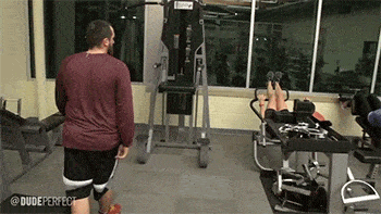 Daily Gifdump [WEEKEND EDITION]