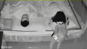 Daily Gifdump [WEEKEND EDITION]