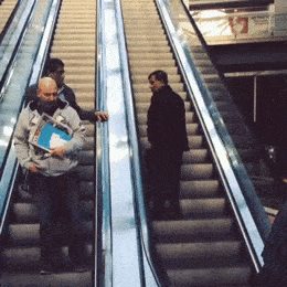 Daily Gifdump [WEEKEND EDITION]