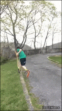 Daily Gifdump [WEEKEND EDITION]