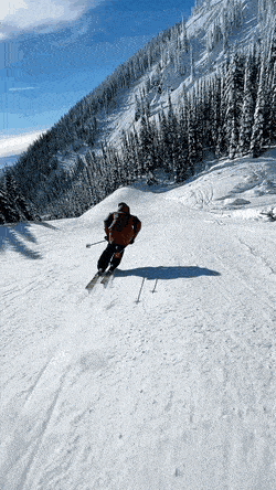 Daily Gifdump [WEEKEND EDITION]