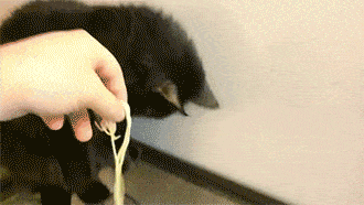 Daily Gifdump [WEEKEND EDITION]