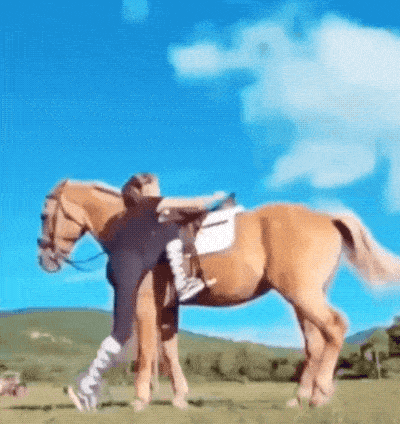 Daily Gifdump [WEEKEND EDITION]