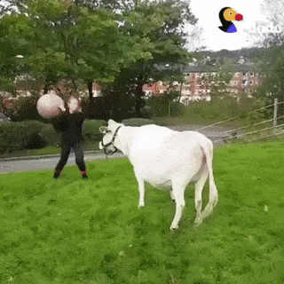 Daily Gifdump [WEEKEND EDITION]