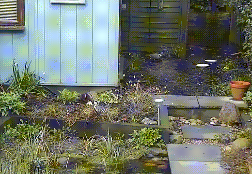 Daily Gifdump [WEEKEND EDITION]