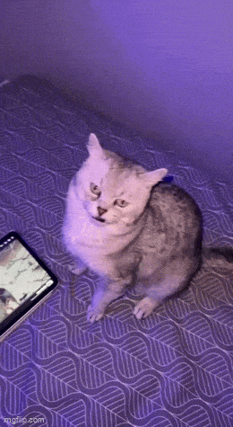 Daily Gifdump [WEEKEND EDITION]