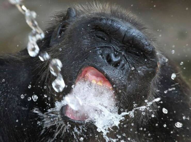 Daily Picdump [WEEKEND EDITION]