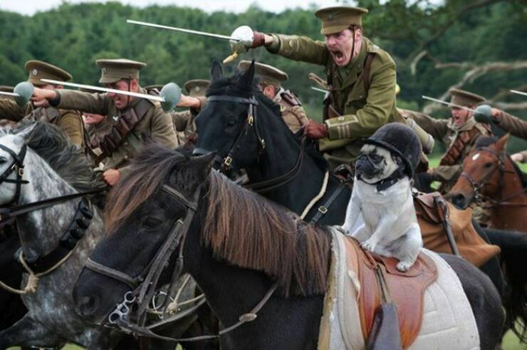 Daily Picdump [WEEKEND EDITION]