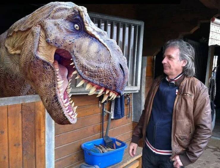 Daily Picdump [WEEKEND EDITION]