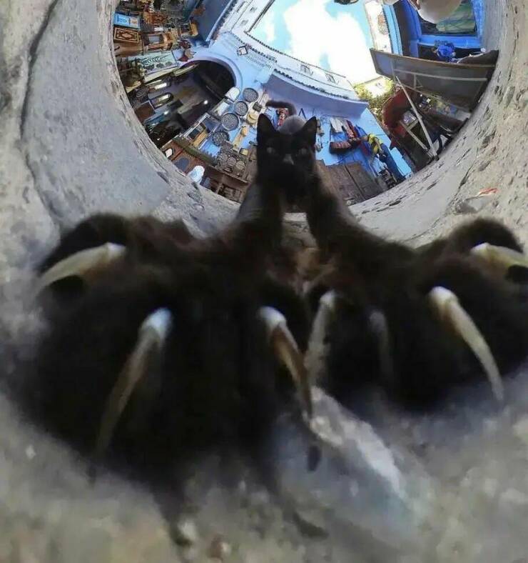 Daily Picdump [WEEKEND EDITION]