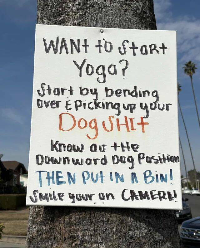 Daily Picdump [WEEKEND EDITION]