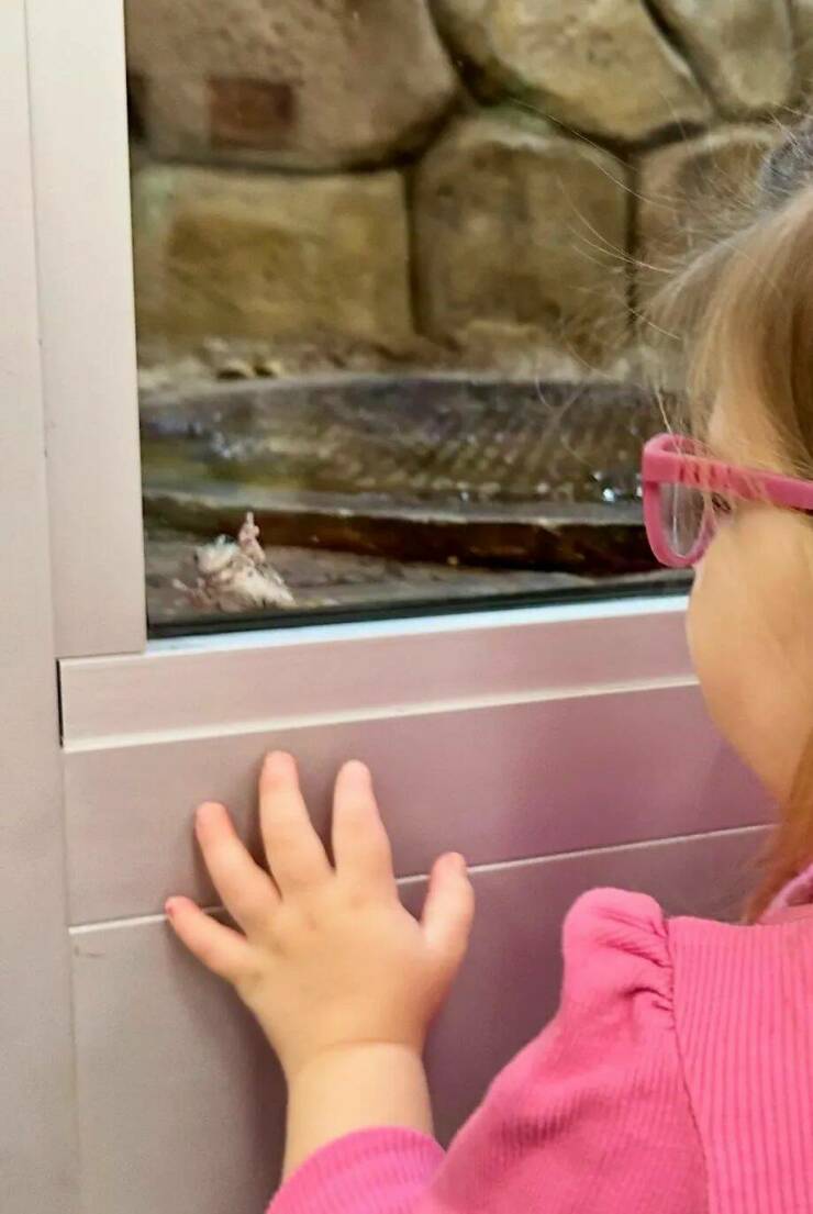 Daily Picdump [WEEKEND EDITION]