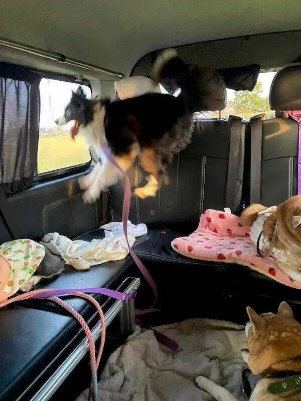 Daily Picdump [WEEKEND EDITION]