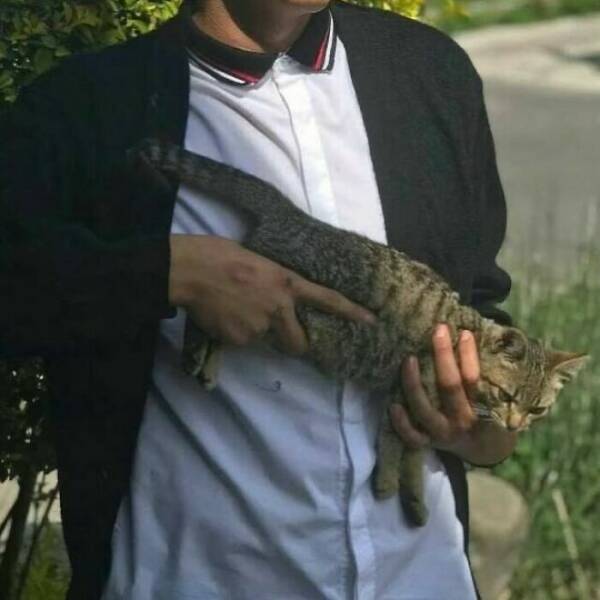 No Context, Just Animals Being Absolutely Ridiculous No Context, Just Animals Being Absolutely Ridiculous