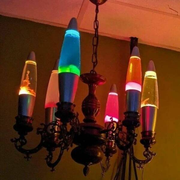 No Context, Just Animals Being Absolutely Ridiculous No Context, Just Animals Being Absolutely Ridiculous