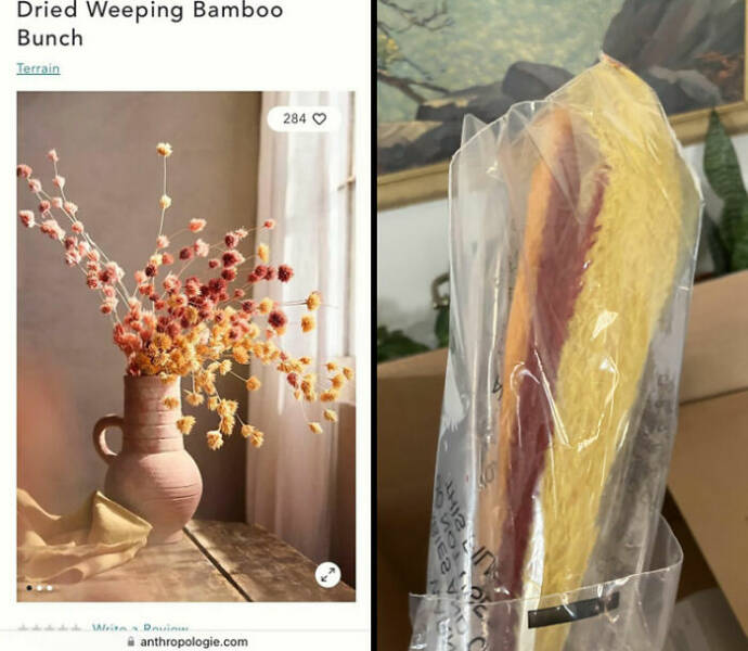 Online Shopping Disasters You Won’t Believe Actually Happened