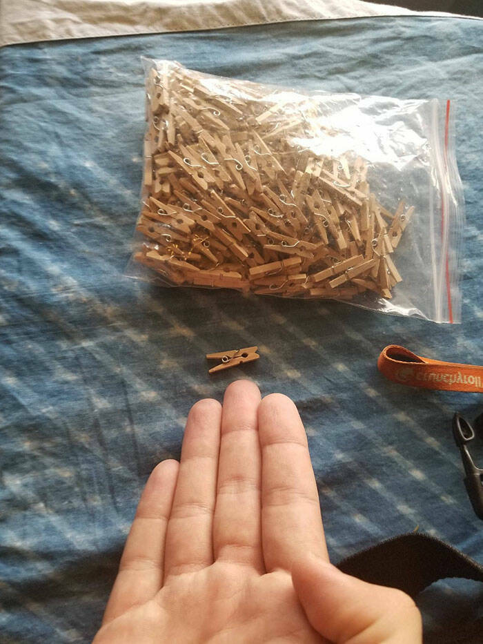 Online Shopping Disasters You Won’t Believe Actually Happened