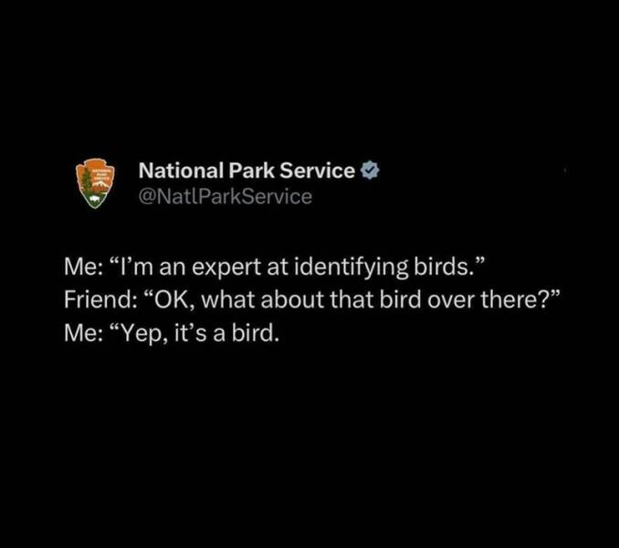 Funny Picdump Funny Picdump