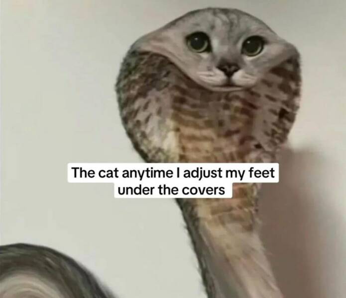 Funny Picdump Funny Picdump