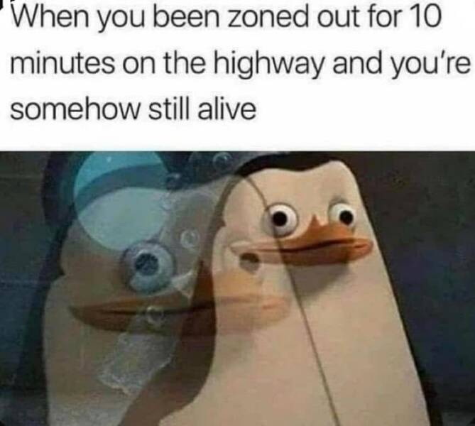 Funny Picdump Funny Picdump