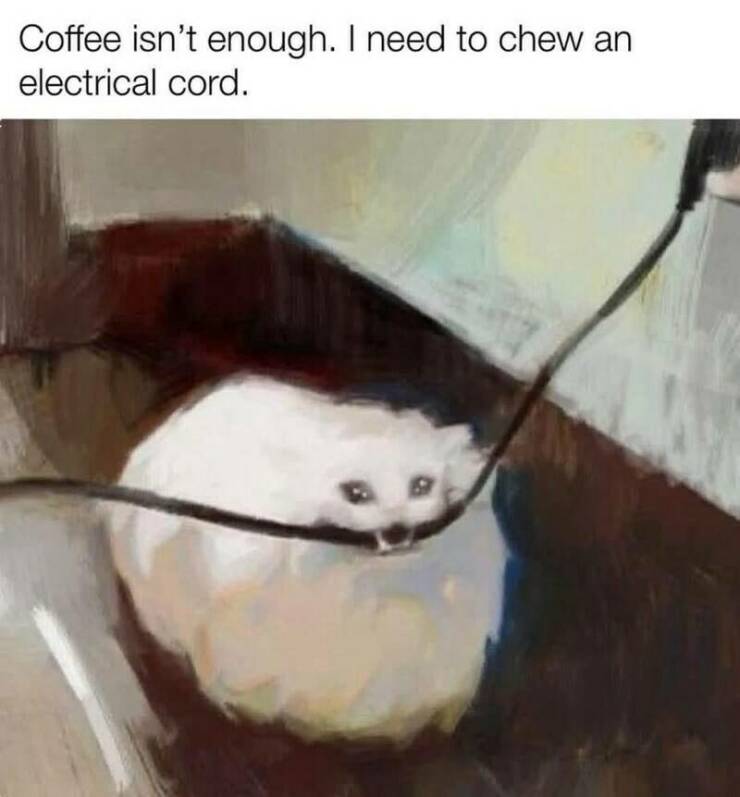 Funny Picdump Funny Picdump