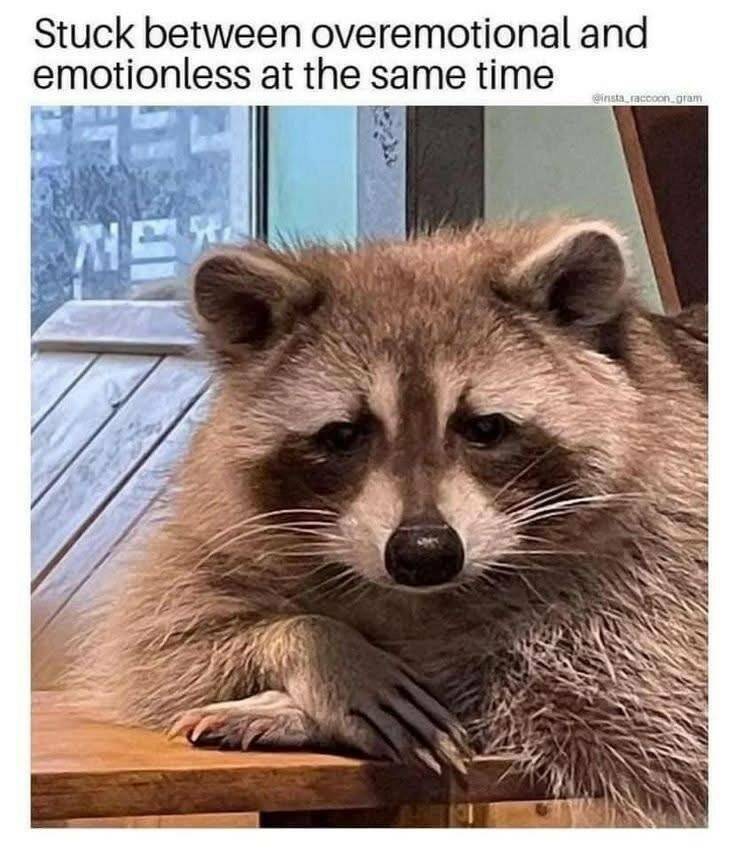 Funny Picdump Funny Picdump