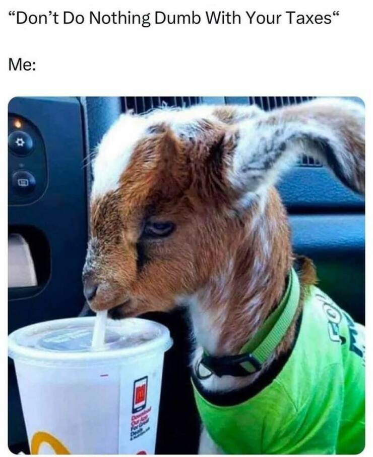 Funny Picdump Funny Picdump