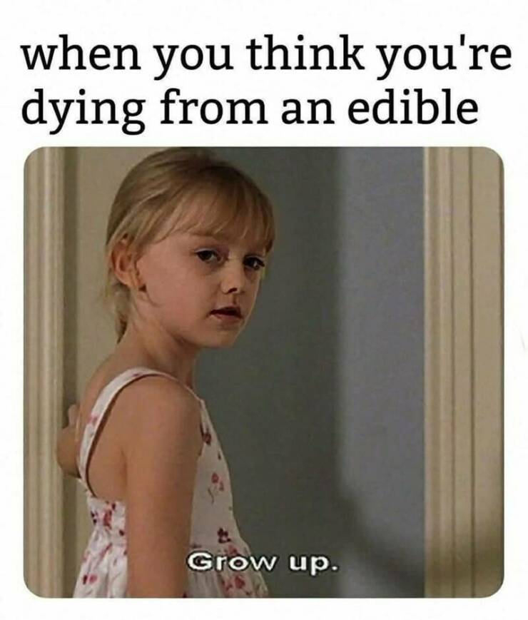 Funny Picdump Funny Picdump