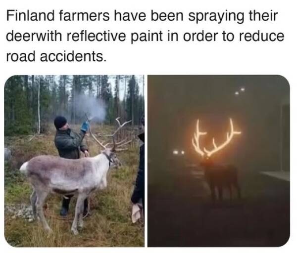 Morning Picdump