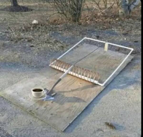 Morning Picdump