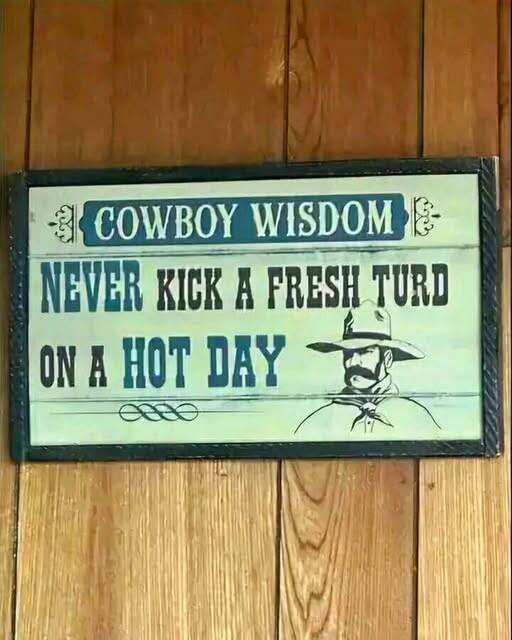 Morning Picdump