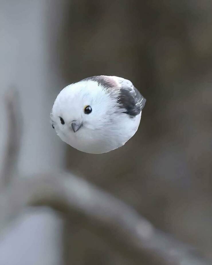 Morning Picdump