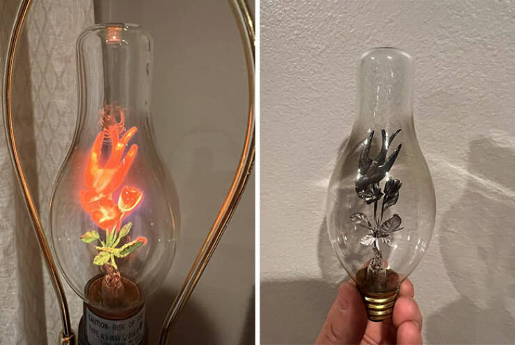 Strangely Wonderful Thrift Store Treasures