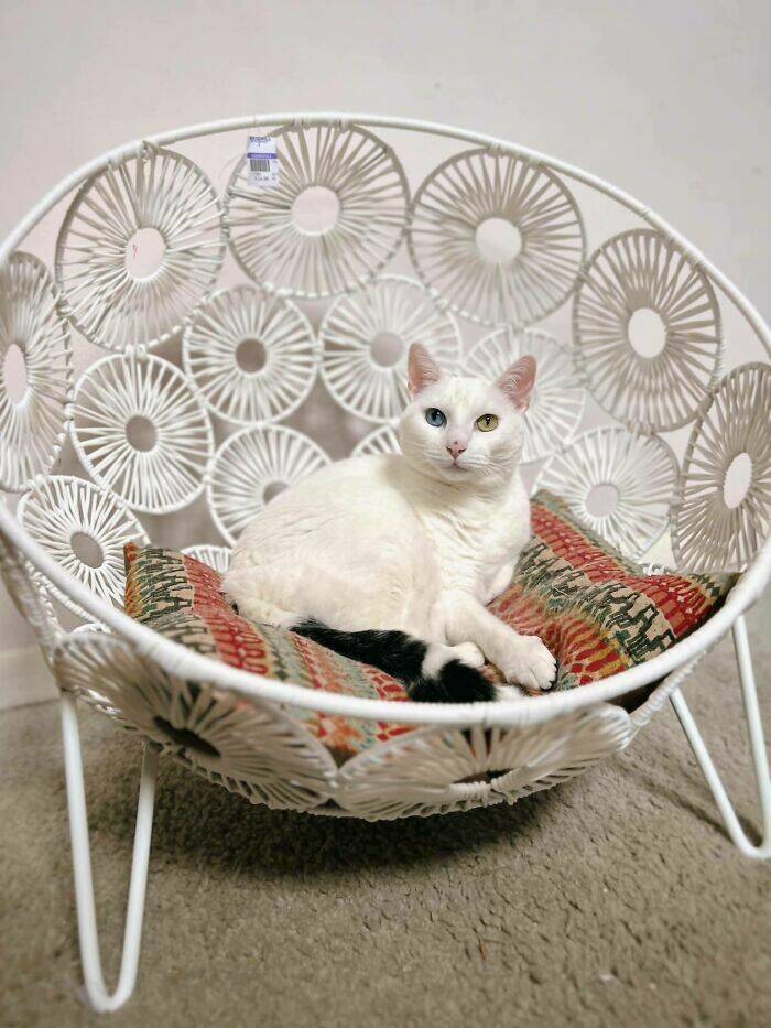 Strangely Wonderful Thrift Store Treasures